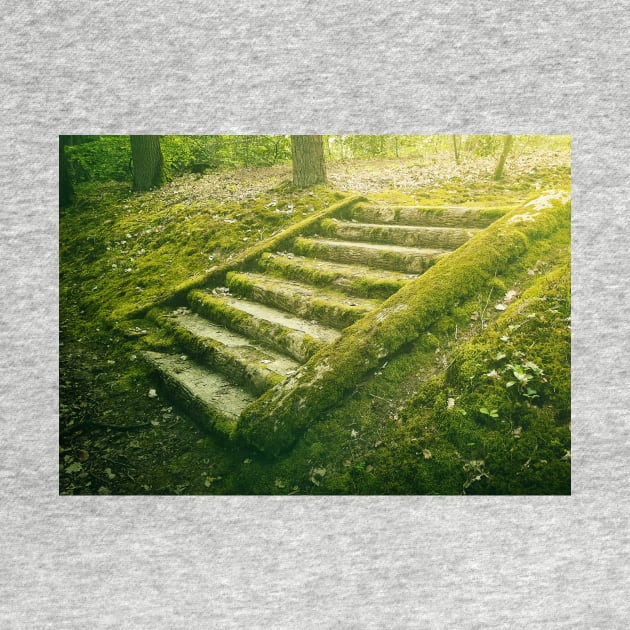 green moss stair steps by psychoshadow